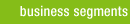 business segments